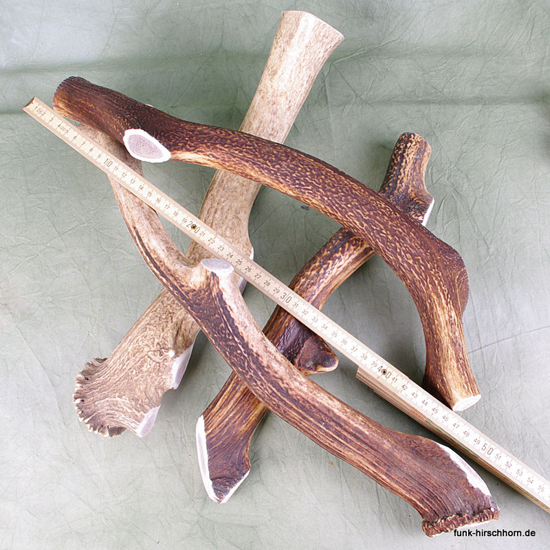 Geweihsnack - extra groß 600-700g