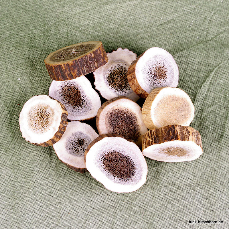 Geweih-Beisser, Geweih-Snack für Nagetiere