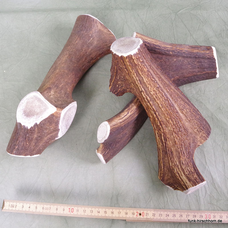 extra großes Geweihstück aus der Geweihkrone, Geweihsnack