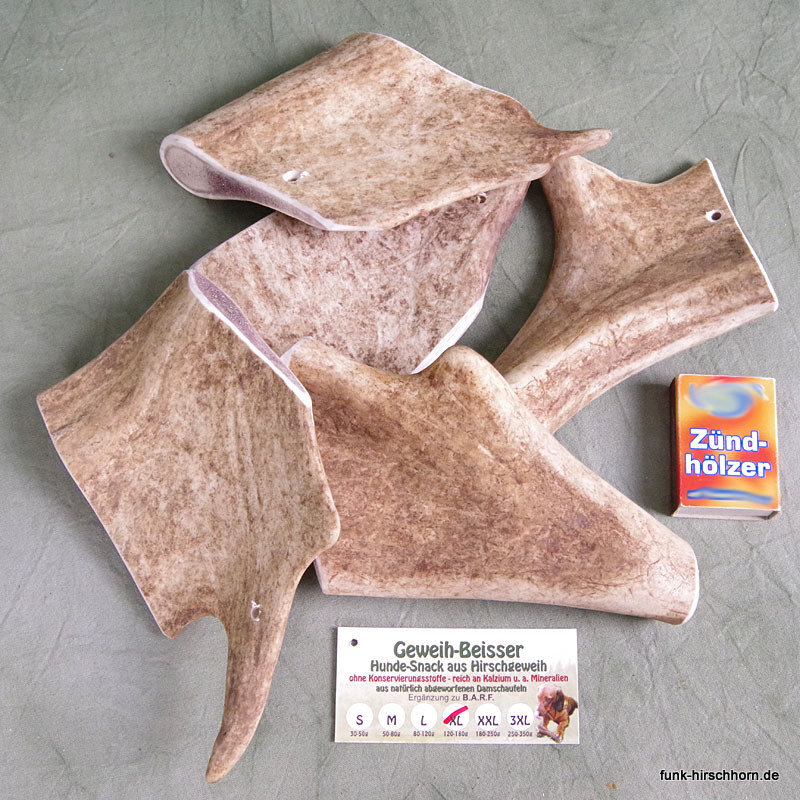 Geweihbeisser Sparpaket 5x XL Damschaufel