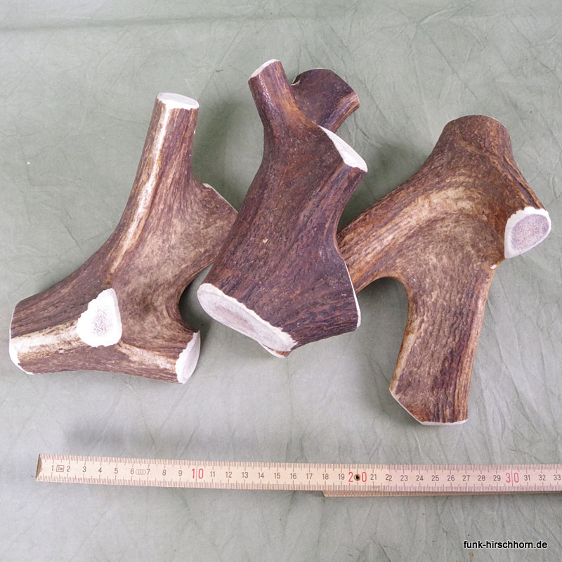 extra großes Geweihstück aus der Geweihkrone, Geweihsnack