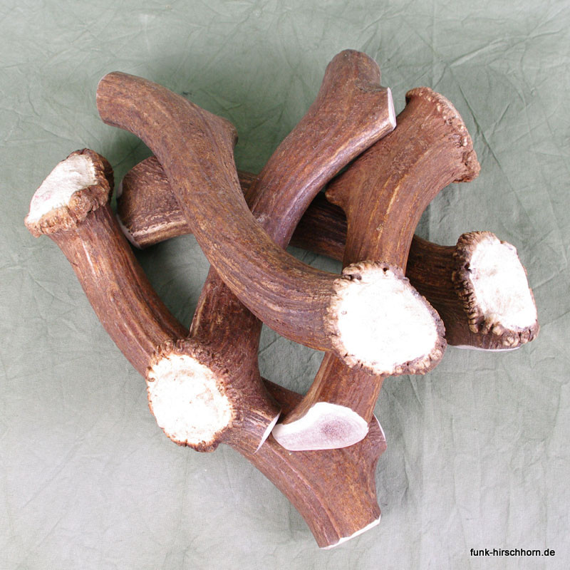 4XL Kronenstück, Geweihsnack aus Hirschgeweih